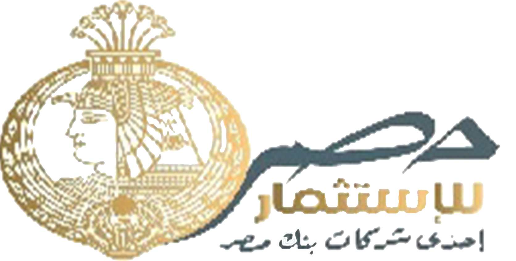 Misr Investment Company